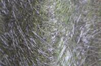 Carrbrook fibreglass roof work